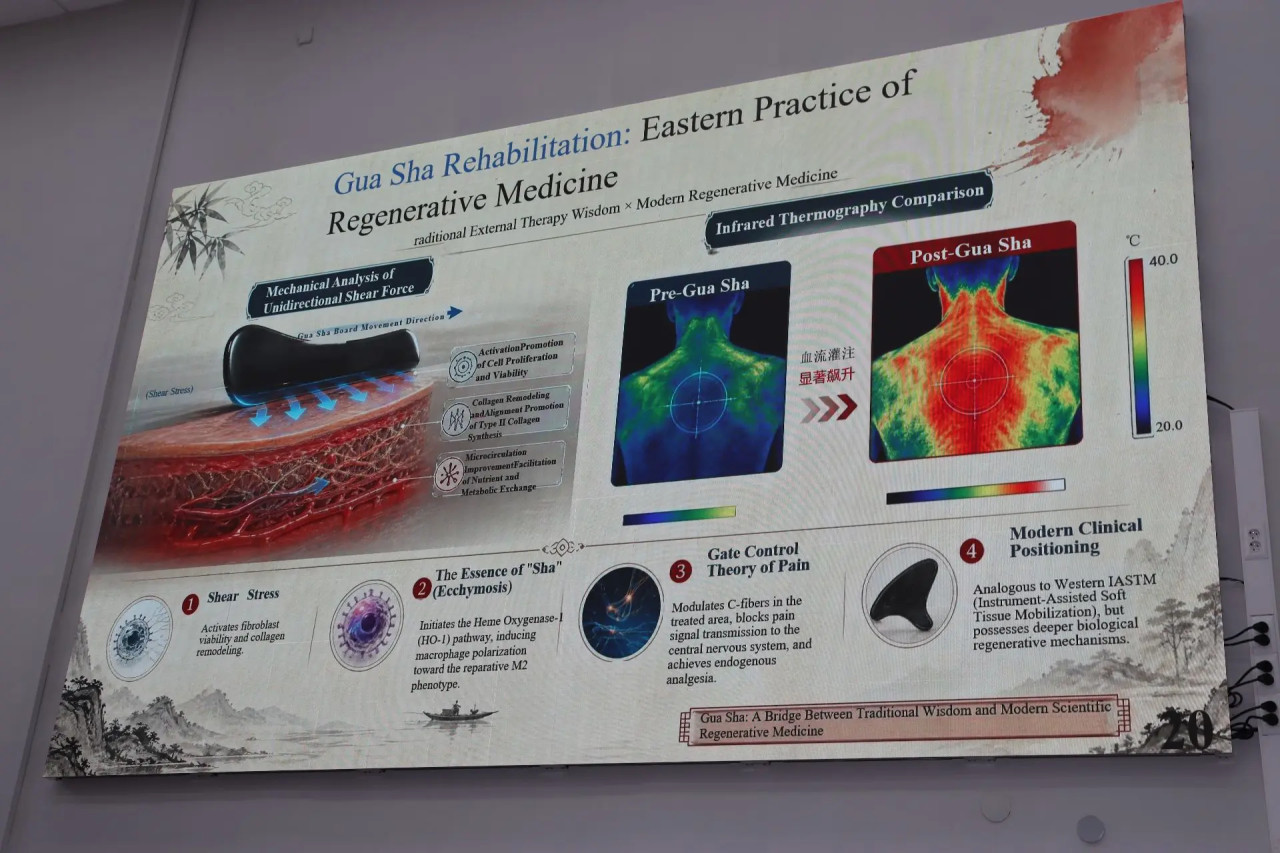Traditional Chinese medicine training for students
